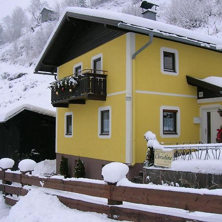 Ferienhaus Christine Taxenbach Luaran gambar